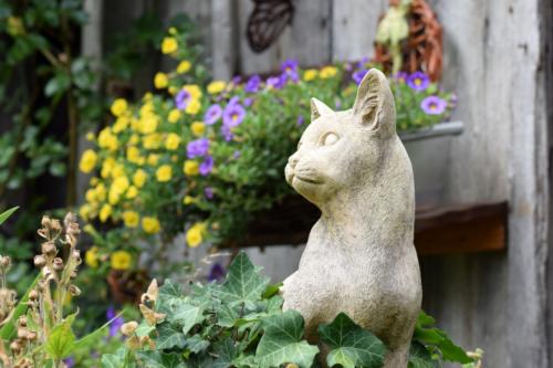 Katze001